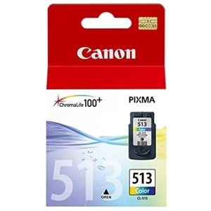 CANON 513 RENKLI KARTUS